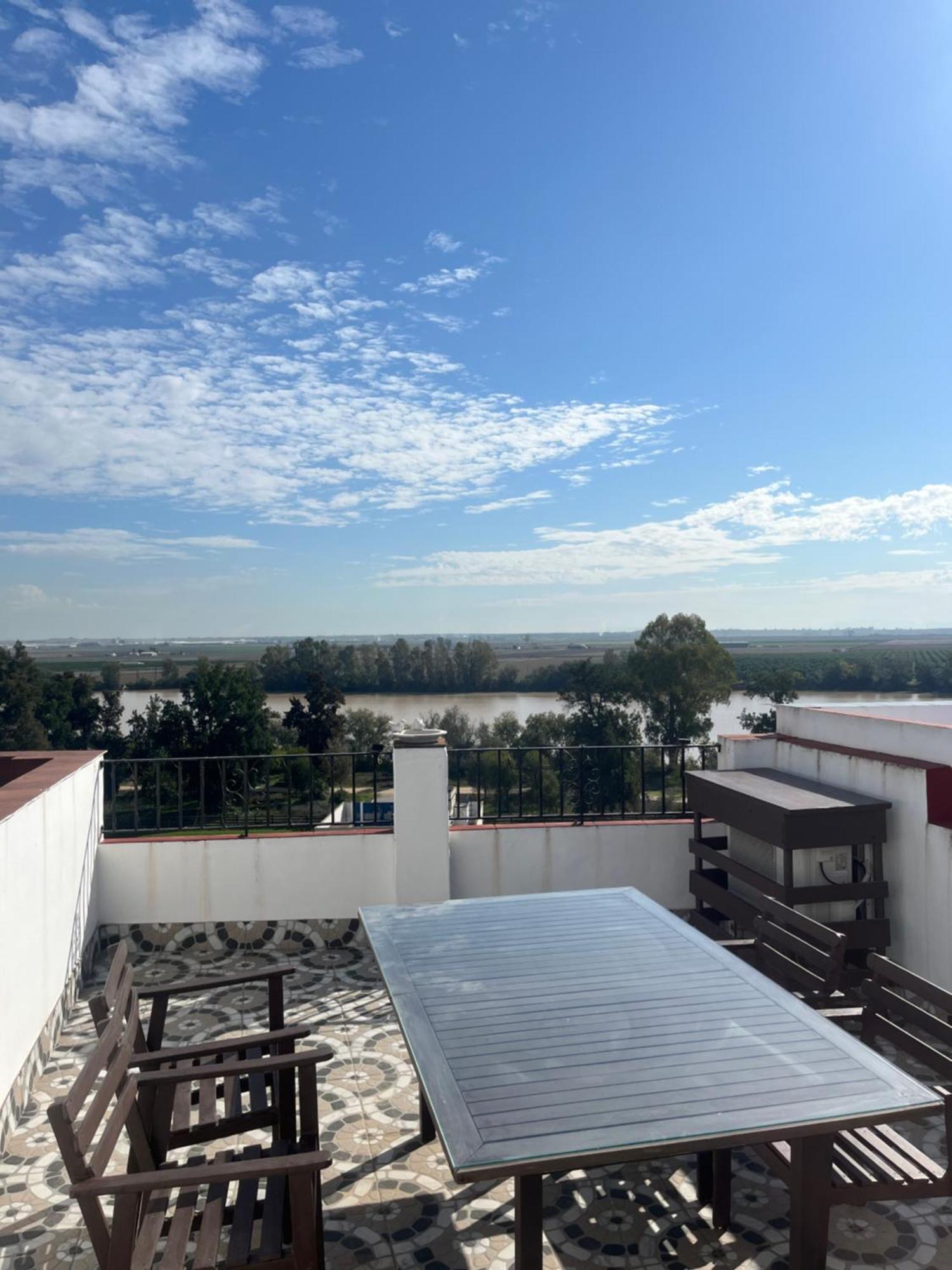 Estudio Las Palmillas Puebla del Río Zewnętrze zdjęcie