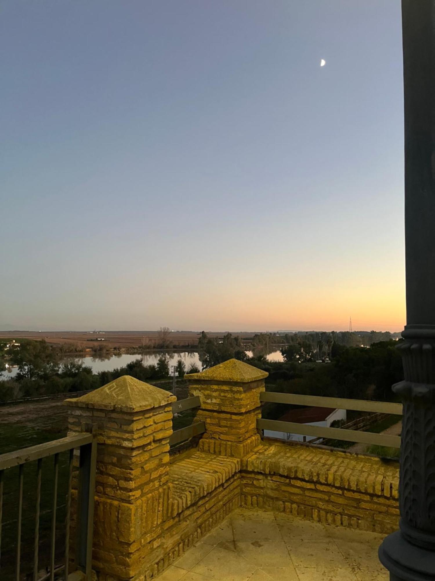 Estudio Las Palmillas Puebla del Río Zewnętrze zdjęcie