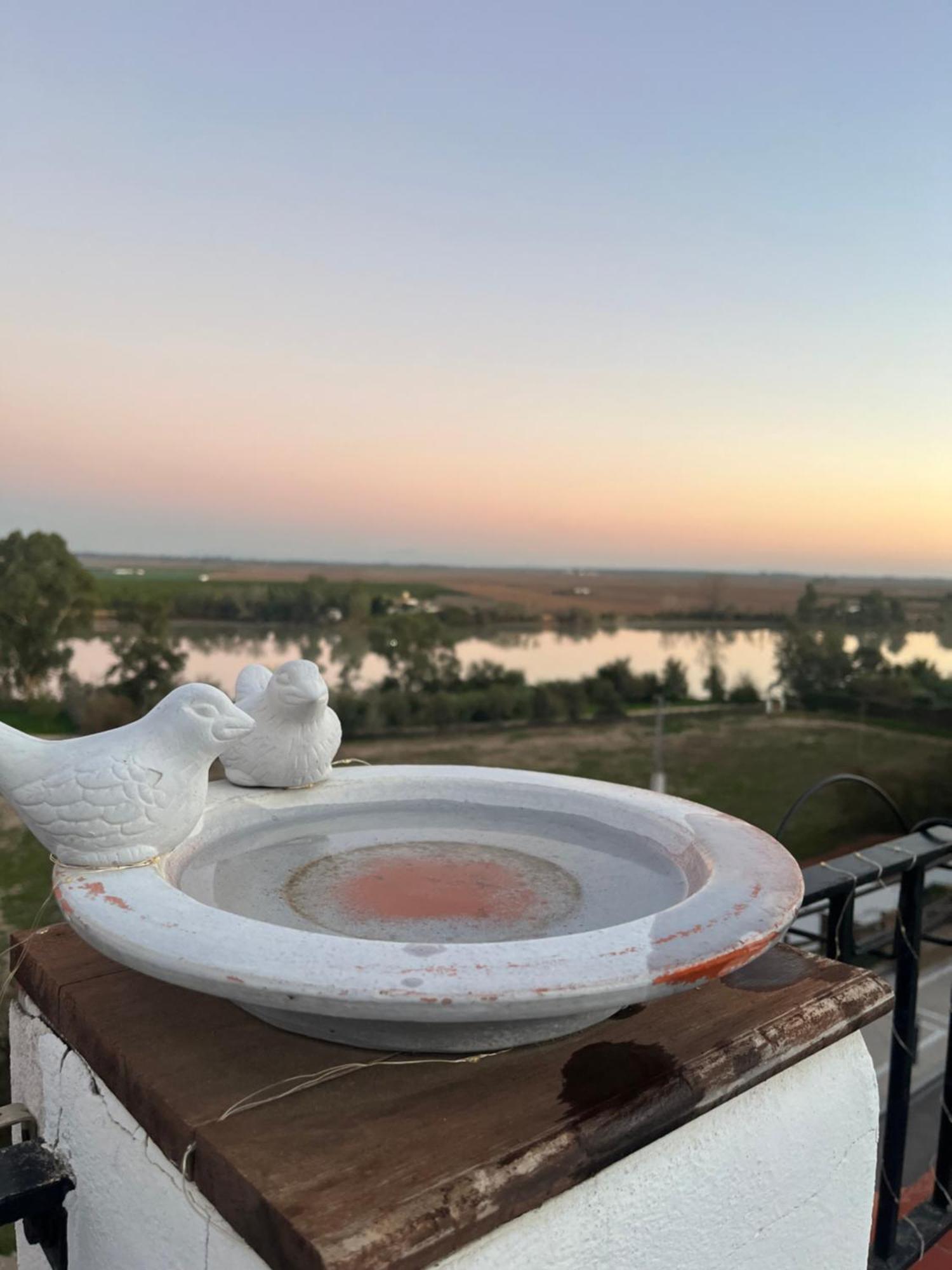 Estudio Las Palmillas Puebla del Río Zewnętrze zdjęcie